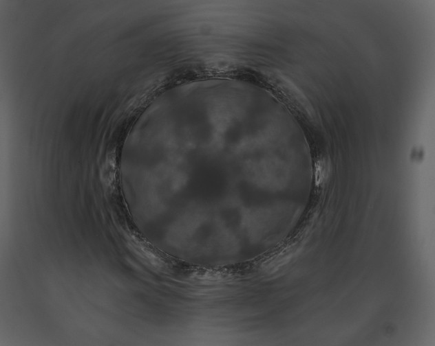 X0000091211011200708231602