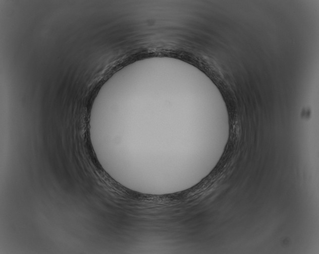 X0000091211012200708231602