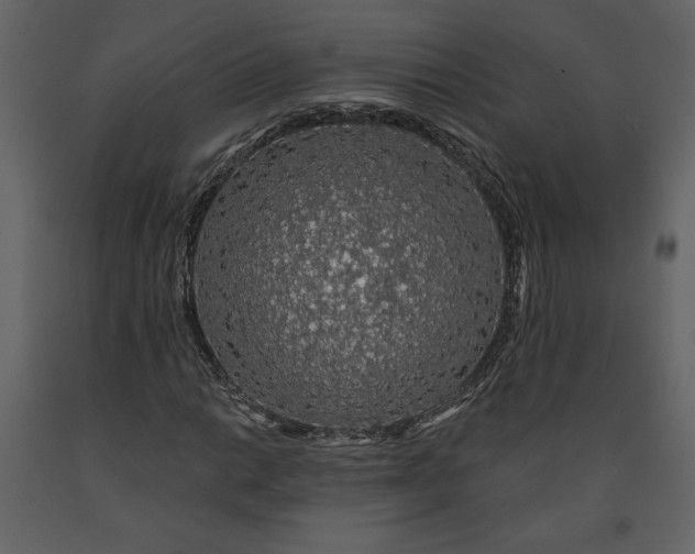 X0000091211014200708231602