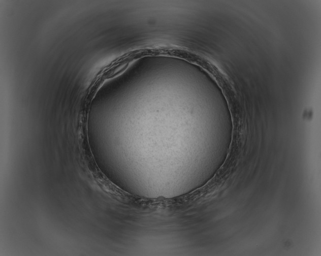 X0000091211016200708231602