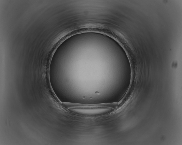 X0000091211017200708231602