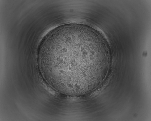 X0000091211019200708231602