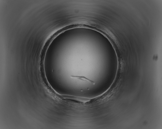 X0000091211020200708231602