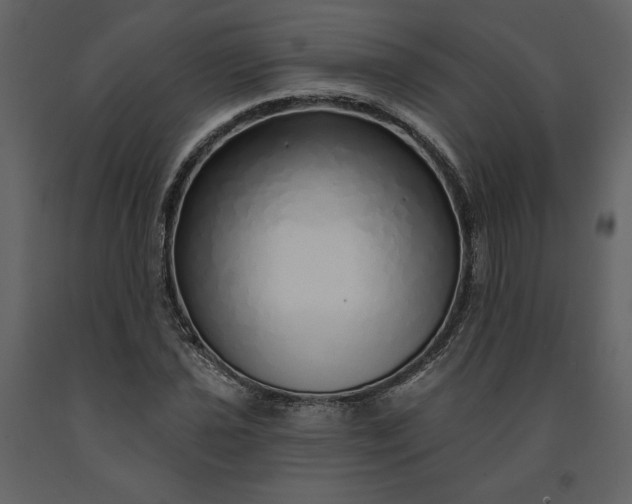X0000091211021200708231602