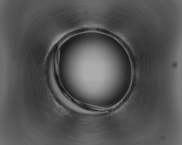 X0000091211022200708231602