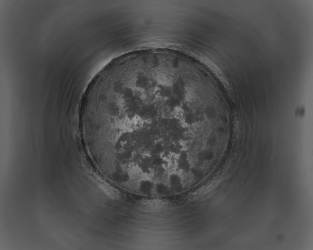 X0000091211023200708231602