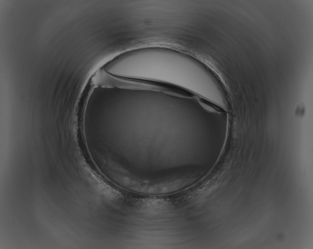 X0000091211024200708231602