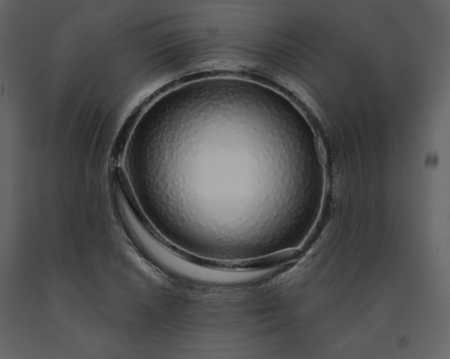 X0000091211026200708231602