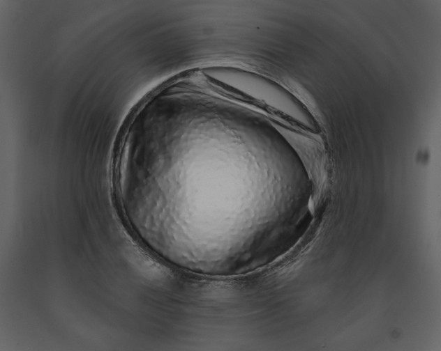 X0000091211028200708231602