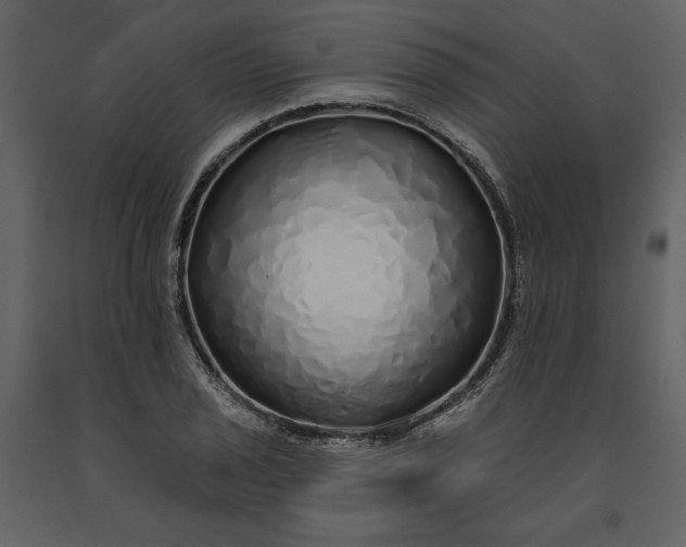 X0000091211029200708231602