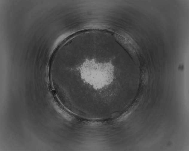 X0000091211030200708231602