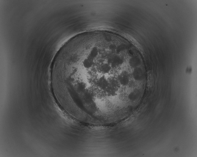 X0000091211031200708231602