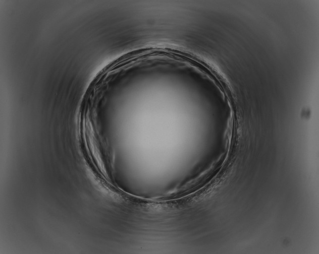 X0000091211032200708231602