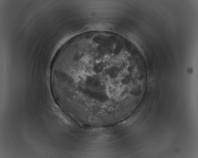 X0000091211035200708231602