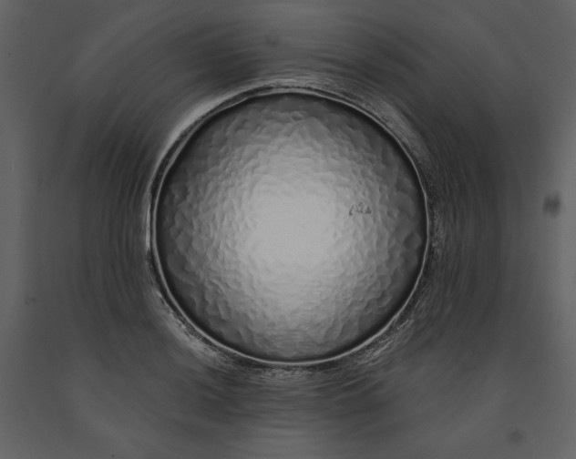 X0000091211036200708231602