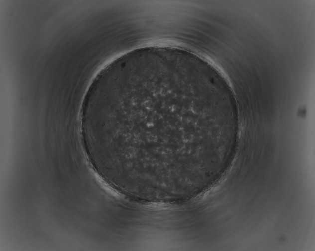 X0000091211037200708231602