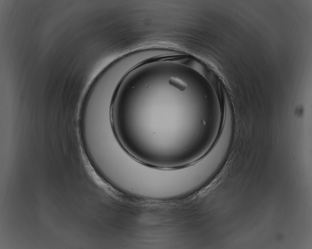 X0000091211038200708231603