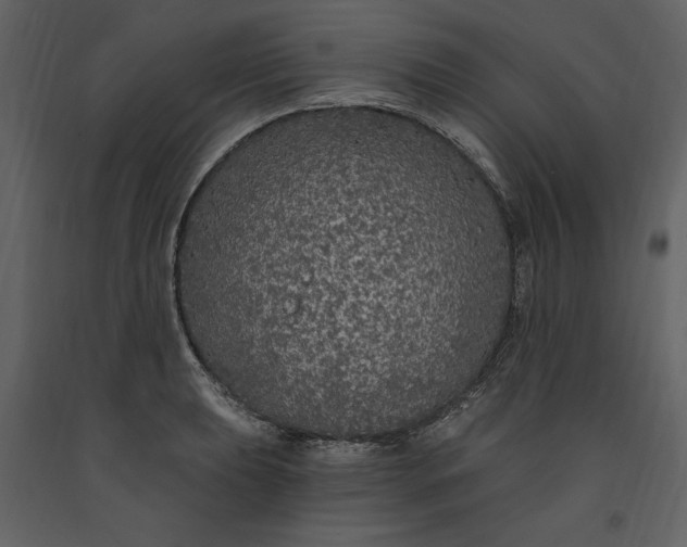 X0000091211039200708231603
