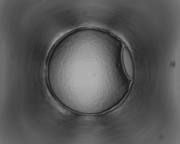 X0000091211040200708231603