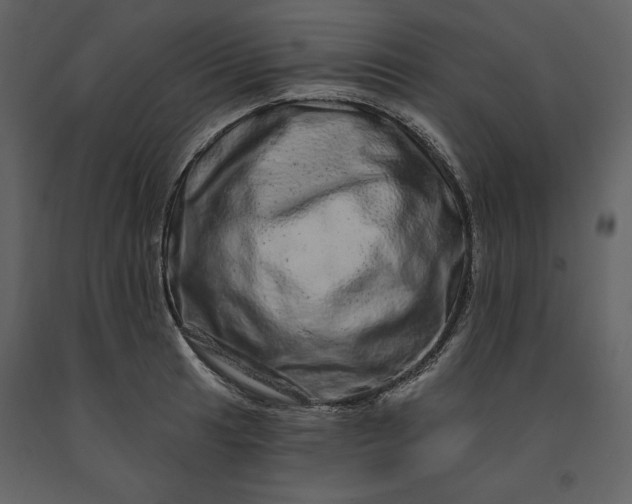 X0000091211041200708231603
