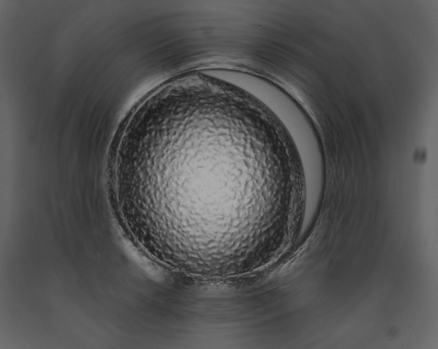 X0000091211042200708231603