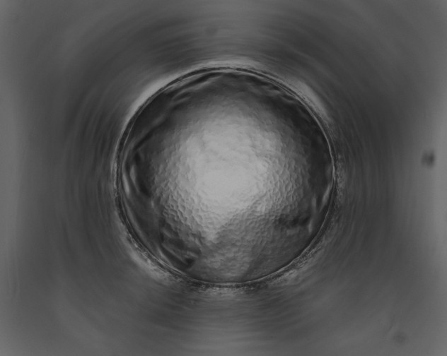 X0000091211044200708231603