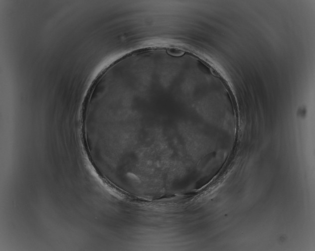 X0000091211045200708231603