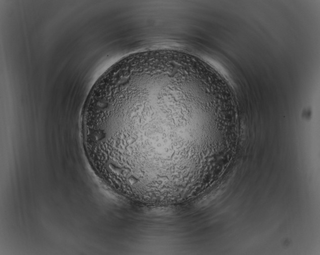 X0000091211047200708231603