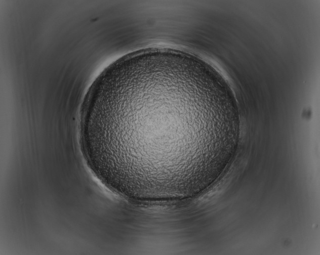 X0000091211048200708231603