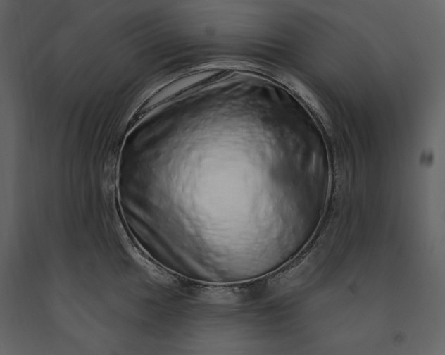 X0000091211049200708231603