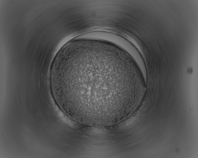 X0000091211050200708231603