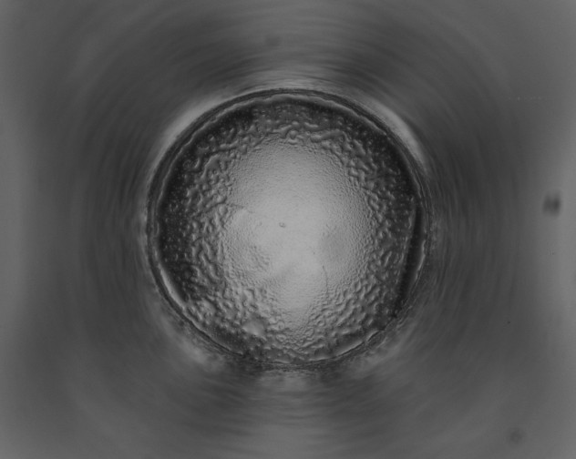 X0000091211051200708231603
