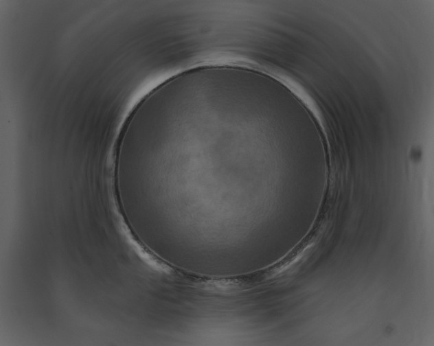 X0000091211053200708231603