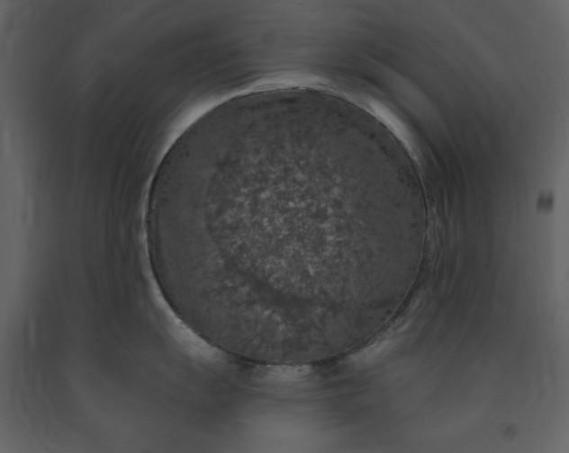 X0000091211055200708231603