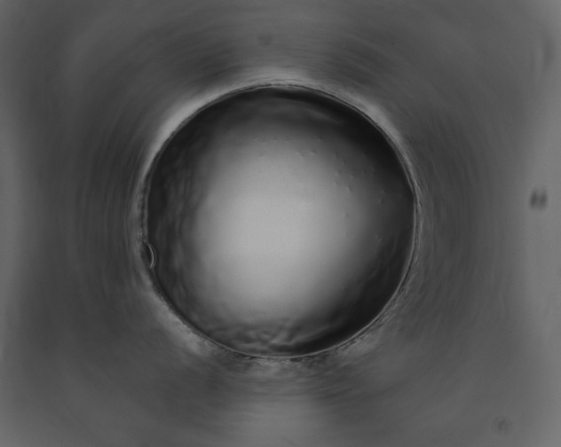 X0000091211056200708231603
