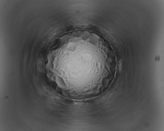 X0000091211059200708231602