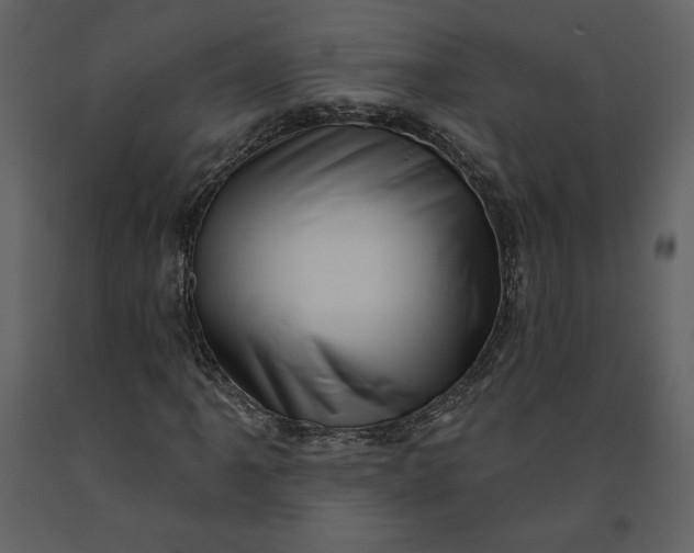 X0000091211061200708231602