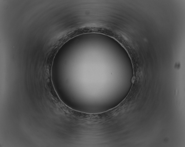 X0000091211062200708231602
