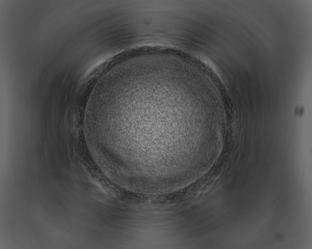 X0000091211064200708231602