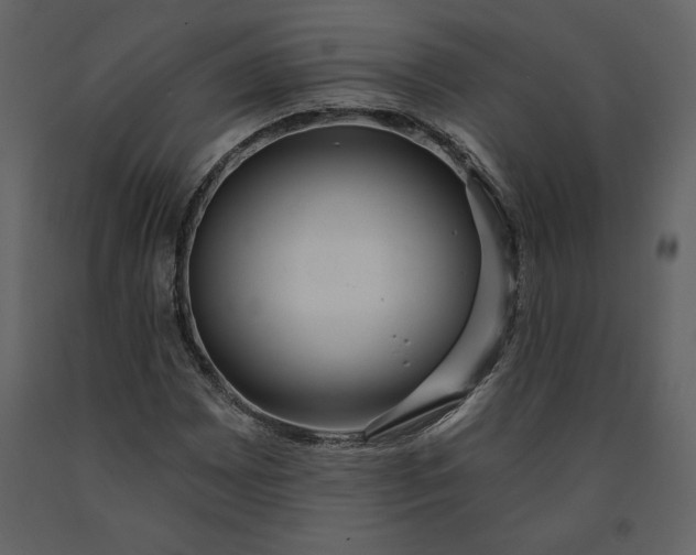 X0000091211065200708231602