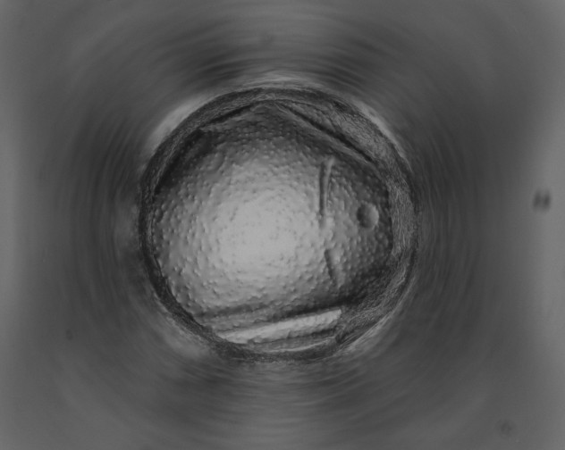 X0000091211066200708231602
