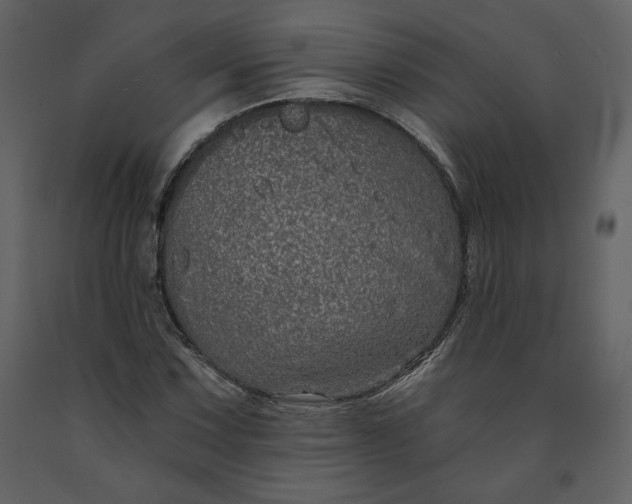 X0000091211067200708231602
