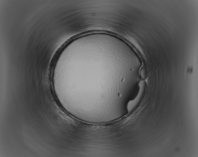 X0000091211068200708231602