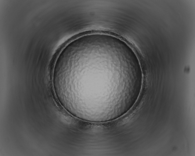 X0000091211070200708231602