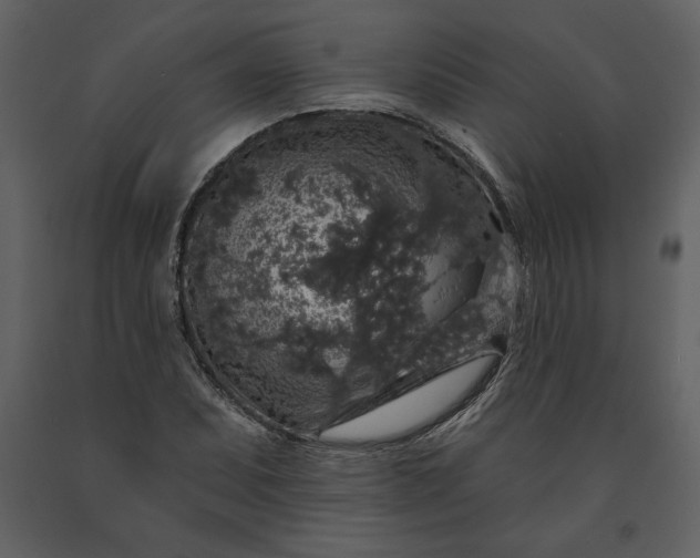 X0000091211071200708231602