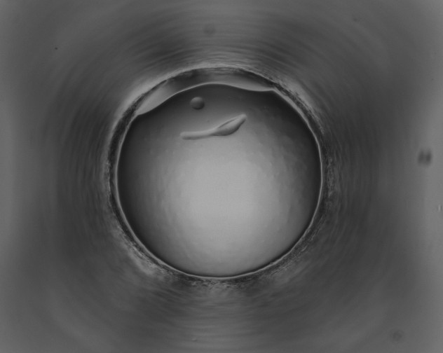 X0000091211072200708231602