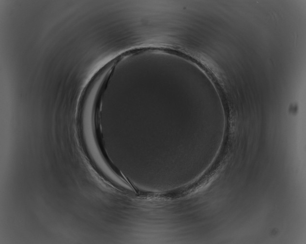 X0000091211077200708231602