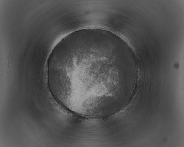 X0000091211078200708231602