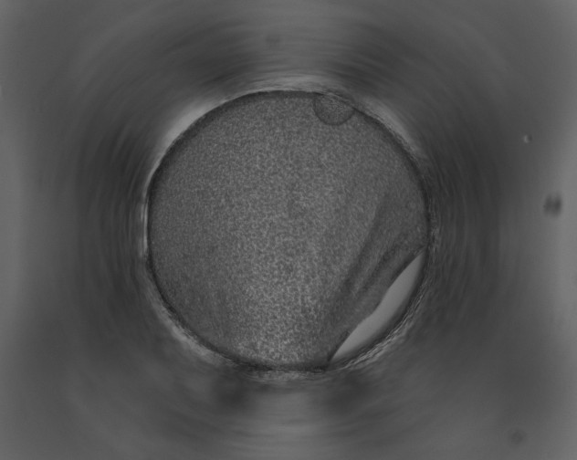 X0000091211079200708231602