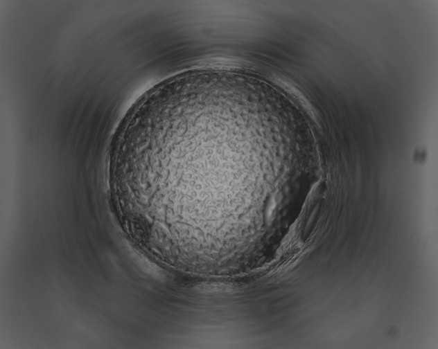 X0000091211083200708231602